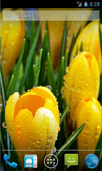 Amazing spring flowers - ladda ner levande bakgrundsbilder till Android 4.0. .�.�. .�.�.�.�.�.�.�.� mobiler.