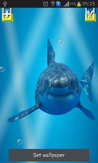 Angry shark: Cracked screen - ladda ner levande bakgrundsbilder till Android 4.0. .�.�. .�.�.�.�.�.�.�.� mobiler.