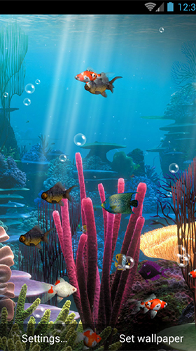 Ladda ner Aquarium by minatodev - gratis live wallpaper för Android på skrivbordet.