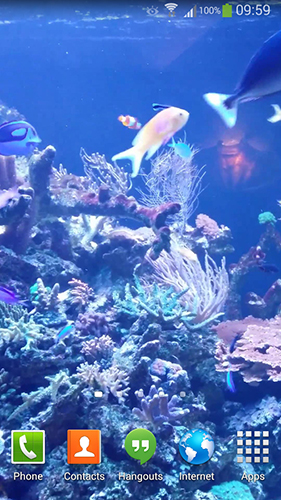 Ladda ner Aquarium HD 2 - gratis live wallpaper för Android på skrivbordet.