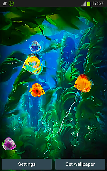 Gratis levande bakgrundsbilder Aquarium 3D by Pups apps på Android-mobiler och surfplattor.