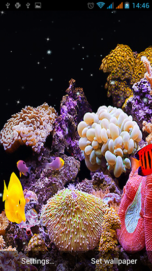 Gratis Akvarier live wallpaper för Android på surfplattan arbetsbordet: Aquarium by Best Live Wallpapers Free.
