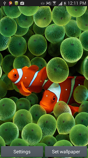Gratis levande bakgrundsbilder Aquarium by Seafoam på Android-mobiler och surfplattor.