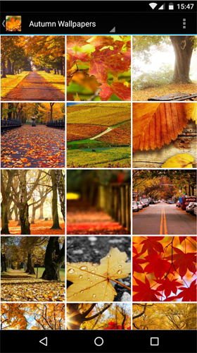 Ladda ner Autumn wallpapers by Infinity - gratis live wallpaper för Android på skrivbordet.