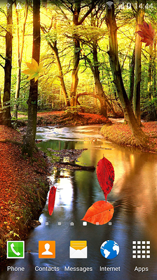 Autumn forest - ladda ner levande bakgrundsbilder till Android 9 mobiler.