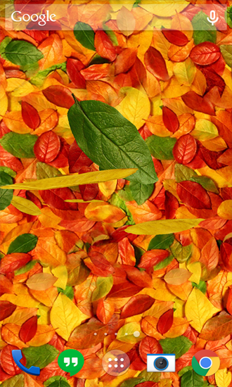 Gratis Landskap live wallpaper för Android på surfplattan arbetsbordet: Autumn Leaves.