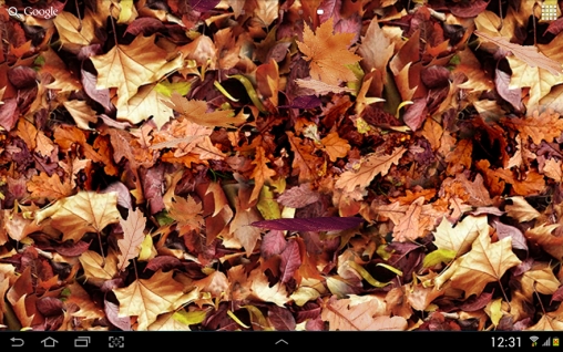 Gratis Landskap live wallpaper för Android på surfplattan arbetsbordet: Autumn leaves 3D.