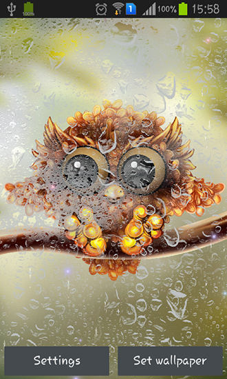 Autumn little owl - ladda ner levande bakgrundsbilder till Android 4.0. .�.�. .�.�.�.�.�.�.�.� mobiler.