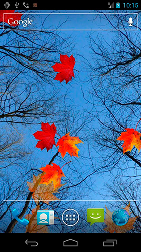 Autumn maple - ladda ner levande bakgrundsbilder till Android 3.0 mobiler.