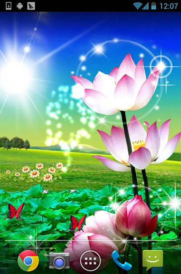Beautiful lotus - ladda ner levande bakgrundsbilder till Android 1.5 mobiler.