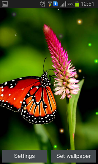 Gratis Växter live wallpaper för Android på surfplattan arbetsbordet: Best butterfly.