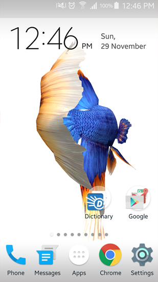 Ladda ner Betta Fish 3D - gratis live wallpaper för Android på skrivbordet.