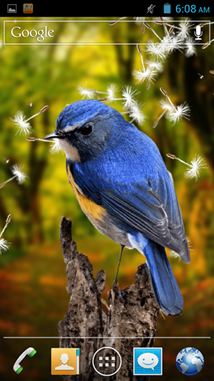 Birds 3D - ladda ner levande bakgrundsbilder till Android 4.2 mobiler.