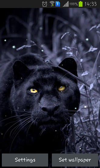 Black panther - ladda ner levande bakgrundsbilder till Android 9.0 mobiler.