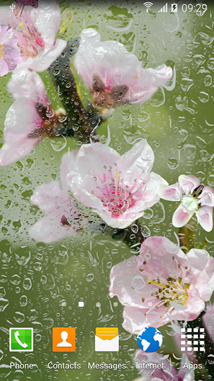 Gratis Växter live wallpaper för Android på surfplattan arbetsbordet: Blooming trees.