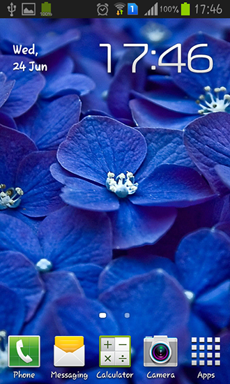 Blue flowers - ladda ner levande bakgrundsbilder till Android 4.1.2 mobiler.