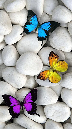 Ladda ner Butterflies by Happy live wallpapers - gratis live wallpaper för Android på skrivbordet.
