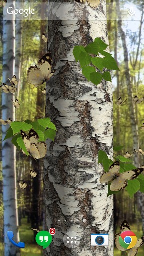 Butterflies 3D - ladda ner levande bakgrundsbilder till Android 1.0 mobiler.