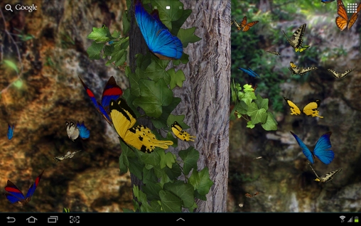 Gratis Landskap live wallpaper för Android på surfplattan arbetsbordet: Butterfly 3D.