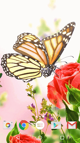 Gratis Blommor live wallpaper för Android på surfplattan arbetsbordet: Butterfly by Fun Live Wallpapers.