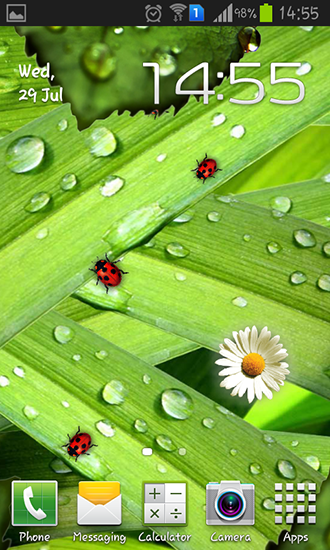 Camomiles and ladybugs - ladda ner levande bakgrundsbilder till Android 4.4 mobiler.