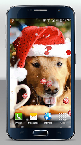 Ladda ner Christmas dogs - gratis live wallpaper för Android på skrivbordet.