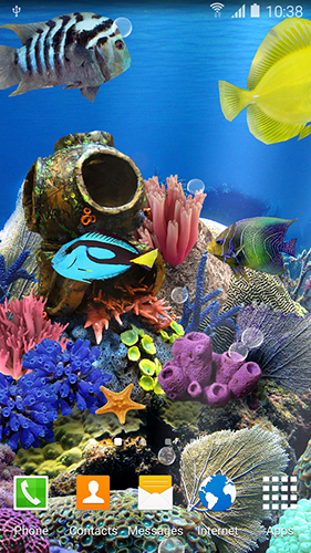 Ladda ner Coral fish - gratis live wallpaper för Android på skrivbordet.