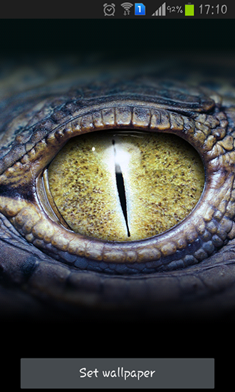 Crocodile eyes - ladda ner levande bakgrundsbilder till Android 4.0. .�.�. .�.�.�.�.�.�.�.� mobiler.