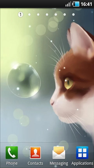Ladda ner Curious Cat - gratis live wallpaper för Android på skrivbordet.