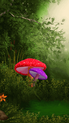 Ladda ner Cute mushroom - gratis live wallpaper för Android på skrivbordet.