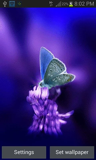 Gratis levande bakgrundsbilder Cute butterfly by Daksh apps på Android-mobiler och surfplattor.