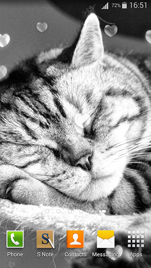Cute cats - ladda ner levande bakgrundsbilder till Android 1.0 mobiler.