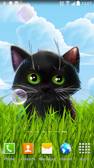 Cute kitten - ladda ner levande bakgrundsbilder till Android 4.2.2 mobiler.