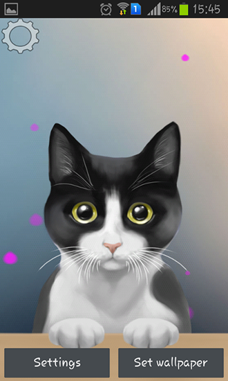 Cute kitty - ladda ner levande bakgrundsbilder till Android 9 mobiler.
