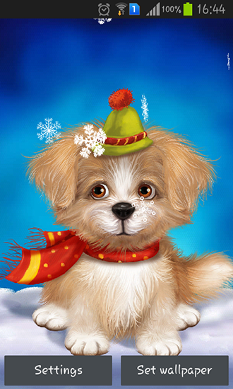 Cute puppy - ladda ner levande bakgrundsbilder till Android 2.3 mobiler.
