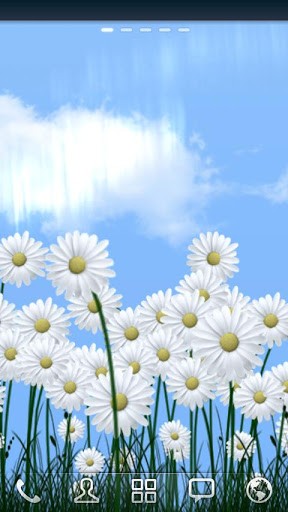 Gratis Blommor live wallpaper för Android på surfplattan arbetsbordet: Daisies.