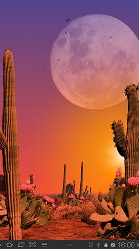 Ladda ner Desert - gratis live wallpaper för Android på skrivbordet.