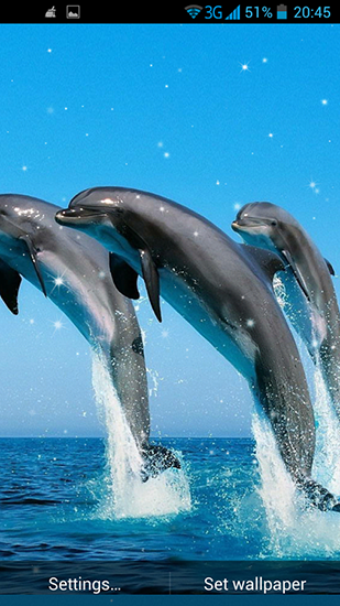 Gratis levande bakgrundsbilder Dolphin 3D på Android-mobiler och surfplattor.