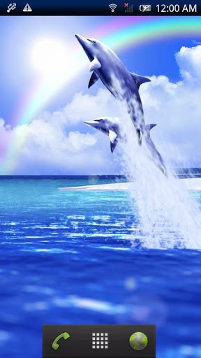 Dolphin blue - ladda ner levande bakgrundsbilder till Android 4.1 mobiler.