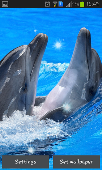 Dolphins - ladda ner levande bakgrundsbilder till Android 1.5 mobiler.