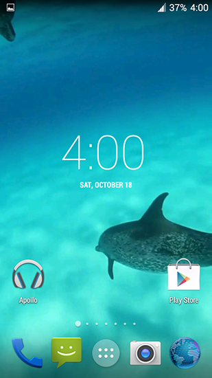 Dolphins HD - ladda ner levande bakgrundsbilder till Android 4.4.2 mobiler.