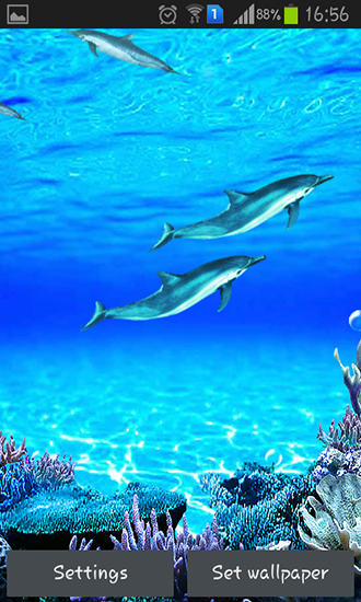 Gratis Akvarier live wallpaper för Android på surfplattan arbetsbordet: Dolphins sounds.