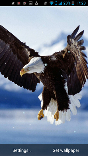 Eagle - ladda ner levande bakgrundsbilder till Android 2.3 mobiler.
