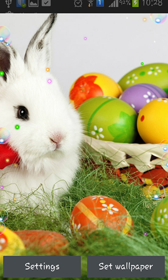 Easter bunnies 2015 - ladda ner levande bakgrundsbilder till Android 1.5 mobiler.
