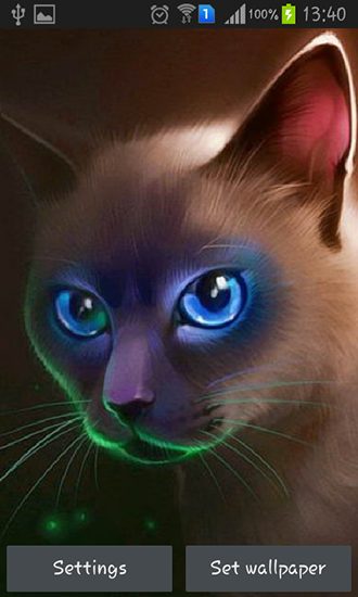 Egyptian cat - ladda ner levande bakgrundsbilder till Android 4.4 mobiler.