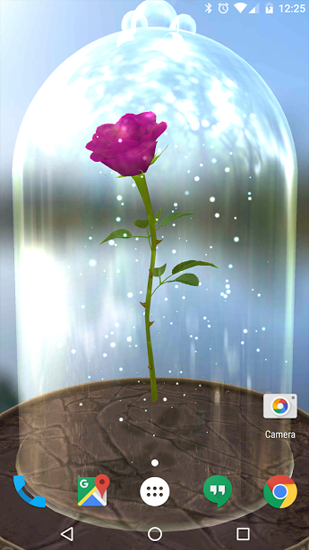 Ladda ner Enchanted Rose - gratis live wallpaper för Android på skrivbordet.