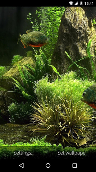 Gratis levande bakgrundsbilder Fish aquarium 3D på Android-mobiler och surfplattor.