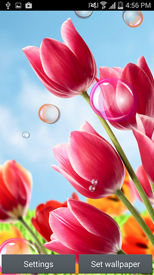 Flowers 2015 - ladda ner levande bakgrundsbilder till Android 4.2 mobiler.