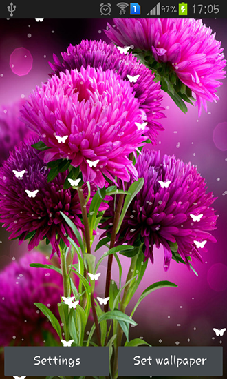 Flowers by Stechsolutions - ladda ner levande bakgrundsbilder till Android 9.0 mobiler.