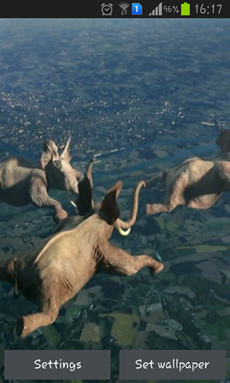 Gratis levande bakgrundsbilder Flying elephants på Android-mobiler och surfplattor.